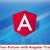 What is Your Future with Angular Training?