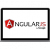 #1 AngularJS Development Company | AngularJs Consultancy