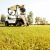 Safety Tips for Golf Cart Users: Protecting Riders on Roads and Greens