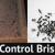Pest Control Brisbane | 1800 033 756 | Impressive Pest Control