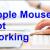 What to do when Apple Mouse is Not Working - Troubleshooting Steps