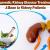 Ayurvedic Kidney Disease Treatment: A Boon to Kidney Patients