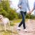 “Dogs Walk Near Me” – How to Find Dog walking app