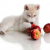 Can Dog Eats Apple | are apples good for dogs | petsfoodnutrition.com