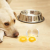 Can Dog Eats Eggs | Can Dogs Eat Egg Yolk | petsfoodnutrition.com