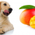 Can Dog Eats Mango | Can Dogs Eat Mango Skin | petsfoodnutrition.com