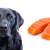 Can Dog Eats Raw Salmon - Is Salmon Safe For Dogs? | Petsfoodnutrition