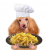 Can Dog Eats Fries - Are French Fries Safe for Dogs? | petsfoodnutrition