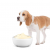 Can Dog Eats Mayonnaise - Is Mayonnaise Safe For Dogs?