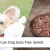 Can Dog Eats Flax Seeds - Are Flax Seeds Safe for Dogs?