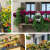 Balcony Garden Ideas and Tips for Your Home