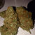 Buy Weed Online - Weed For Sale - Next Day Delivery