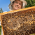 Guide on modern beekeeping using beehive tracking system | non-beekeepers