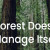 What We Do - Global Forest Resources