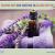 Using Sage Oil | 8 Reasons Why Sage Essential Oil Is Good For You