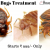 Pest Control Services in Bangalore | Bed Bugs Treatment | Housingsure