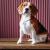 Beagle - Facts & Information | mywagntails