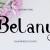 Belany Font Free Download OTF TTF | DLFreeFont