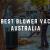 Best Blower Vac Australia in 2020 - Reviews - InfoSearchMedia