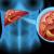 Who is the Best Doctor for Liver Cancer in Mumbai And Can be Easily Contacted in the Hospital?