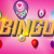 WHAT BEST ONLINE BINGO SITES ACCEPT PAYSAFECARD? &#8211; Best New UK Bingo Sites