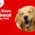 Dog Boarding Service | Pet Care | Pet Crèche - Happy Pettings: The Benefits of Trusting Your Dog to a Pet Boarding Service