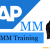 sap mm training and placement in btm bangalore