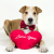 Don't Let Pet Hair Spoil Your Valentine's Day Celebration