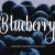 Blueberry Font Download Free | DLFreeFont