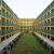 Best CBSE boarding schools in Sonipat - Rishikul Vidyapeeth
