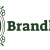 Online Advertisement Services - Brandlogies - Digital Marketing Agency In Delhi