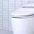 A Toilet With Bidet - An Easy Upgrade for Your Toilet