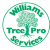 Tree Services Perth | Tree Removal & Tree Lopping