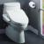 Necessities of the Bidet Toilet For Your Bathroom