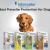 Interceptor – Best Parasite Protection for Dogs -