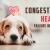 Congestive Heart Failure Symptoms in Dogs -