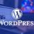 Hire WordPress Web Designer in Atlanta 