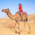 Camel Safari In Jaisalmer | Camel Safari Sam Sand Dunes | JCR