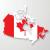 Canadas Provincial Nominee Programs and the Role of Immigration Consultants in Assisting Applicants