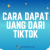 2 Cara Dapat Uang dari TikTok, 100% Valid!