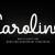 Caroline Font Free Download OTF TTF | DLFreeFont