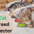 Top 10 Best Practices For Cat Breed Selector