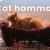 Cat hammock, 8 Best Cat hammock of 2021 - The Cat Care