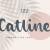Catline Font Free Download OTF TTF | DLFreeFont