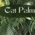 How To Grow And Care For Cat Palm | Cascade Palm Tree - A Step By Step Guide 