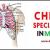 Chest Specialist in Ashok Vihar, Meerut, and Sharanpur