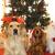 Fun Things to Do With Your Pet This Christmas