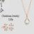 Christmas Jewelry Gifts - Surprise For Your Loved Ones