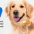 Clean Those Teeth, Its Pet Dental Health Month - CanadaVetCare Blog