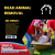 Dead Animal Removal Brisbane